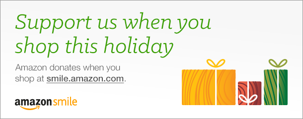 amazon holiday