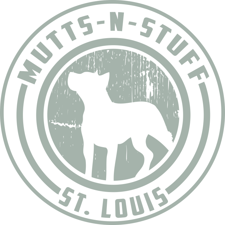 mutts and stuff small dog rescue